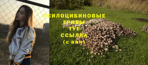 молекула духа Абинск