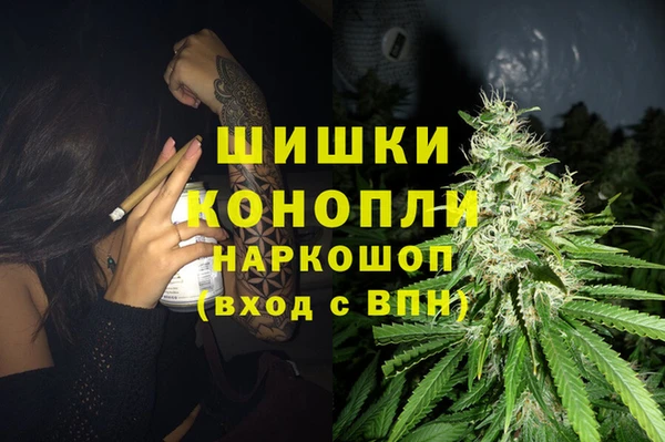 дмт Абаза