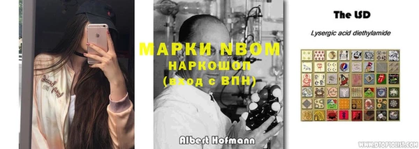 стафф Алексеевка